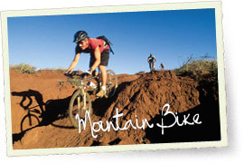 Mountain Bike